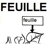 feuille