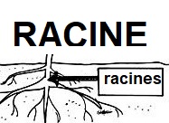 racine image
