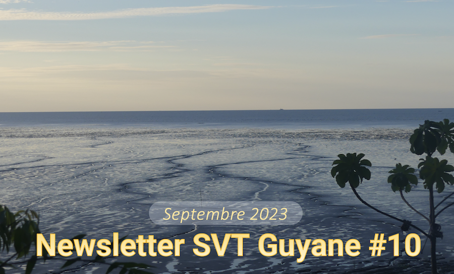 Newsletter SVT Guyane #10